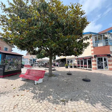 Du Port D'arcachon